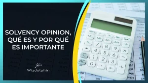 solvency opinion de solvencia compraventa empresas valoracion