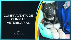 como vender comprar una clinica veterinaria