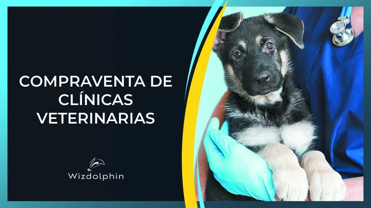 como vender comprar una clinica veterinaria